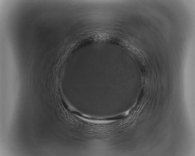 X0000116451153200912081612