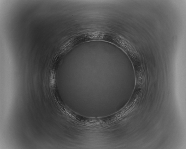 X0000116451154200912081612