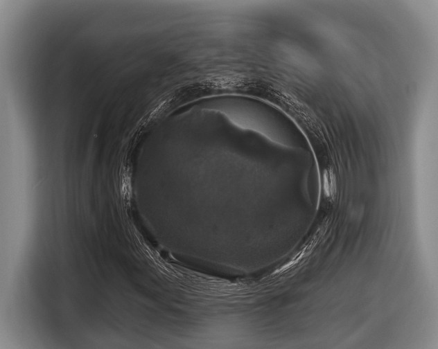 X0000116451155200912081612
