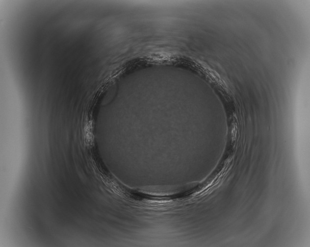 X0000116451156200912081612