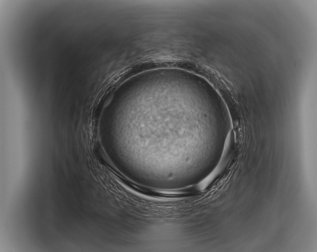 X0000116451157200912081612