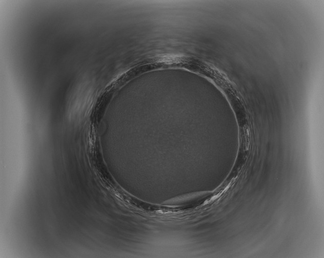 X0000116451158200912081612