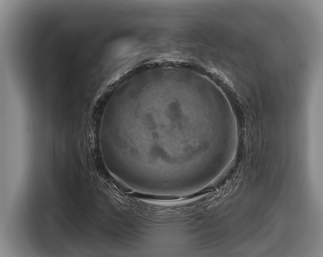 X0000116451159200912081612