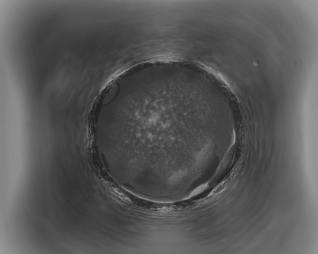 X0000116451160200912081612