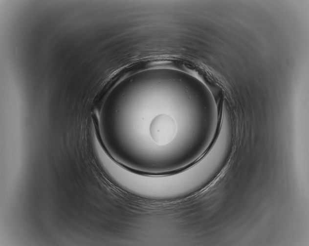 X0000116451161200912081612