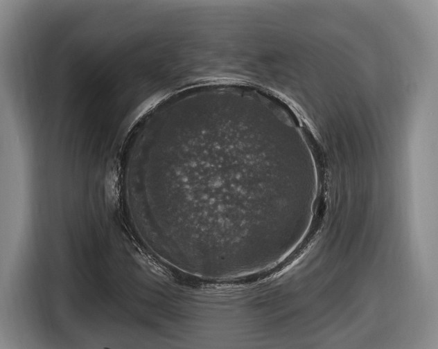X0000116451163200912081612