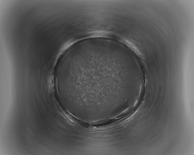 X0000116451164200912081612