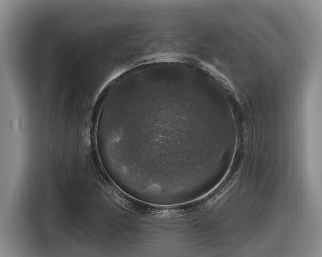X0000116451166200912081612
