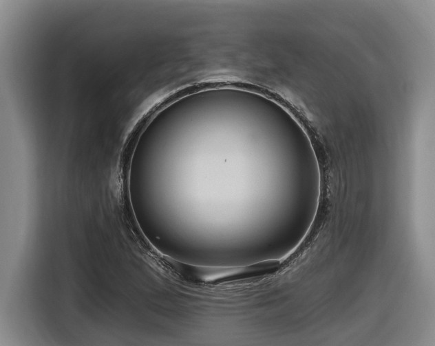 X0000116451167200912081612