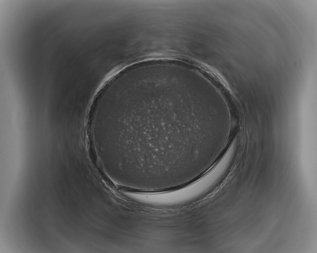 X0000116451168200912081612