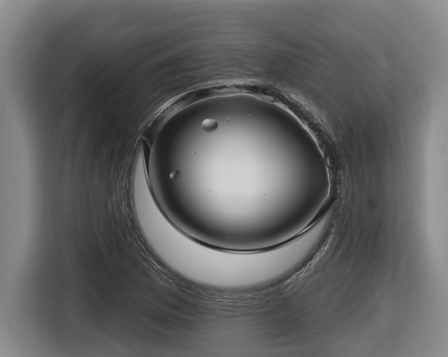 X0000116451169200912081612
