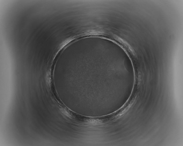 X0000116451170200912081612