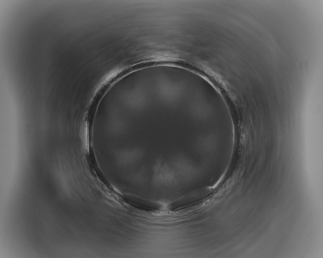 X0000116451171200912081612