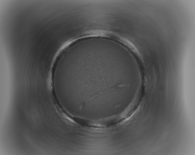 X0000116451172200912081612