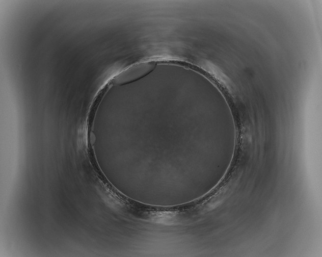 X0000116451173200912081612