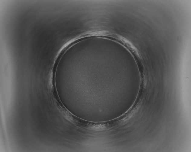 X0000116451174200912081612
