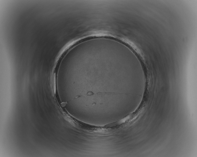 X0000116451175200912081612