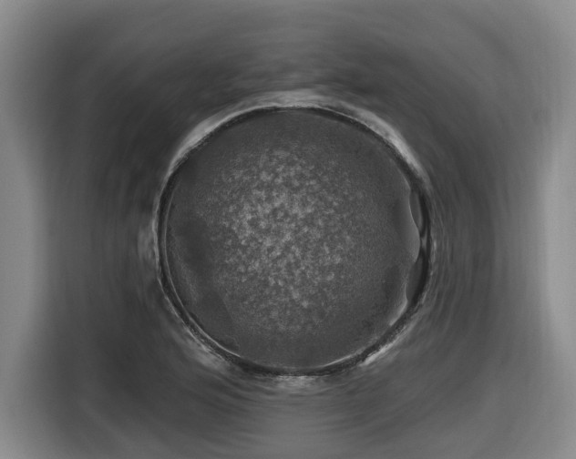 X0000116451176200912081612