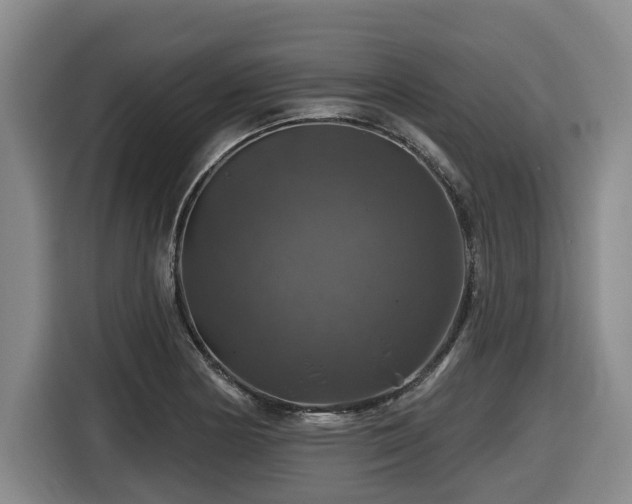 X0000116451178200912081612