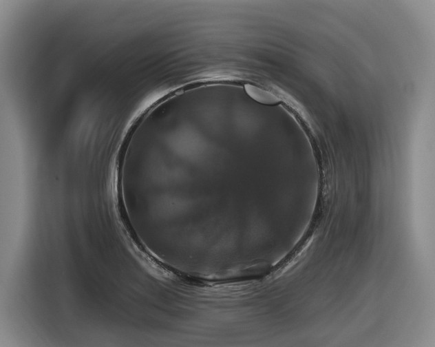 X0000116451179200912081612