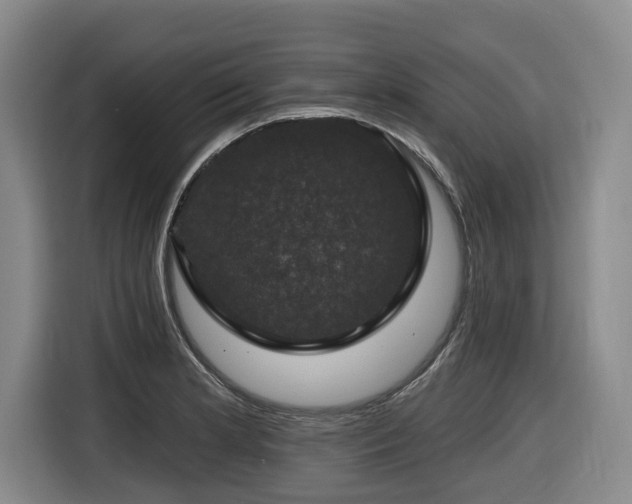 X0000116451181200912081612