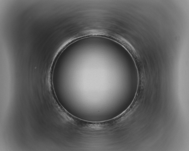 X0000116451182200912081612