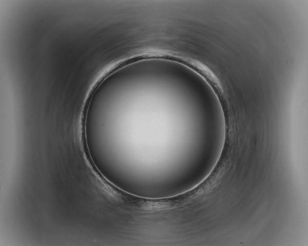X0000116451183200912081612