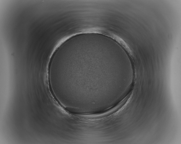 X0000116451184200912081611
