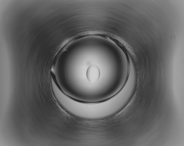 X0000116451185200912081611