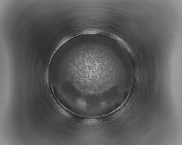 X0000116451186200912081611