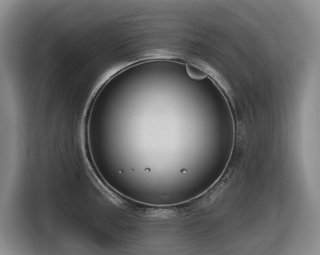 X0000116451187200912081611