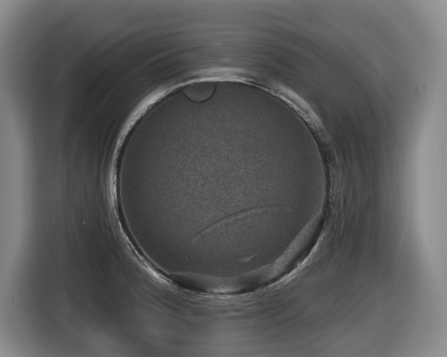 X0000116451188200912081611