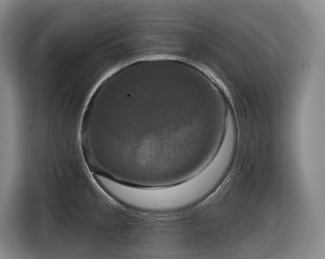 X0000116451189200912081611