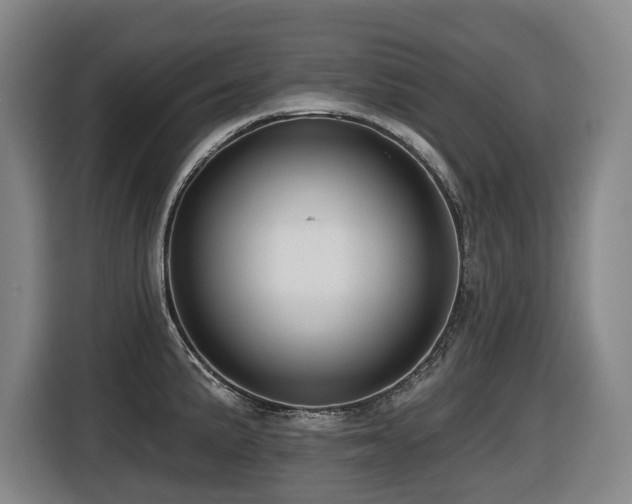 X0000116451191200912081611