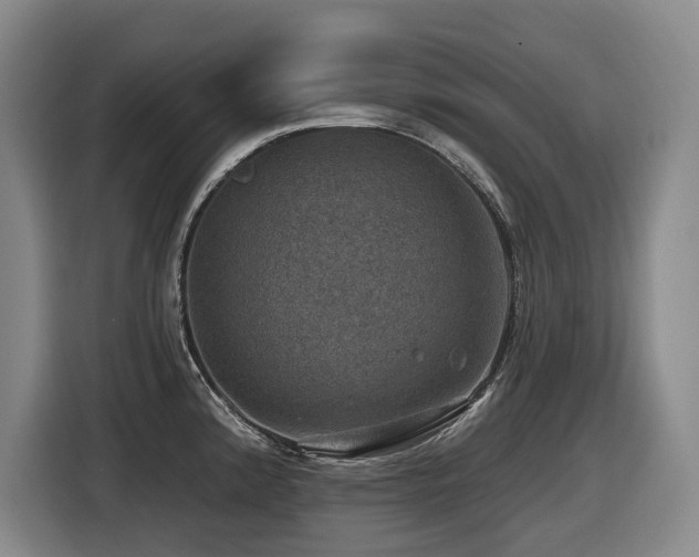 X0000116451192200912081611