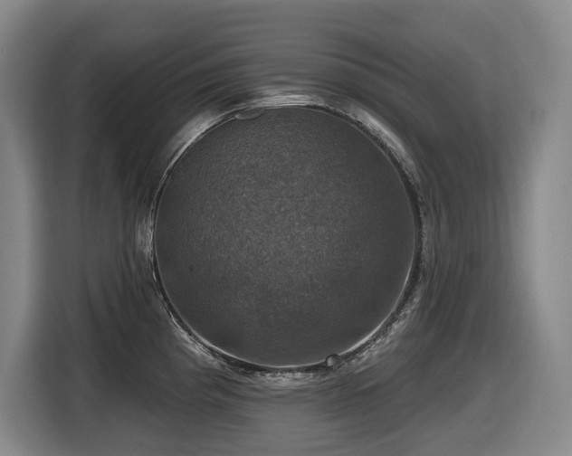 X0000116451193200912081611