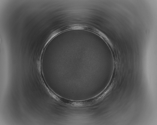 X0000116451194200912081611