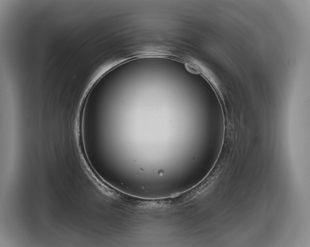 X0000116451195200912081611