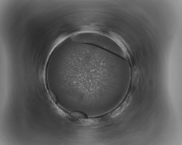 X0000116451197200912081611