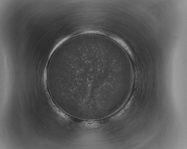 X0000116451198200912081611
