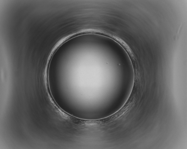 X0000116451199200912081611