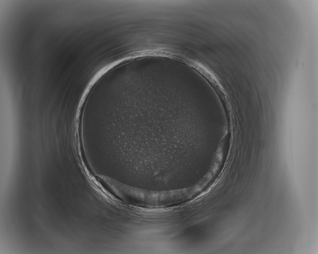 X0000116451200200912081611