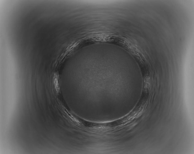 X0000116451202200912081611