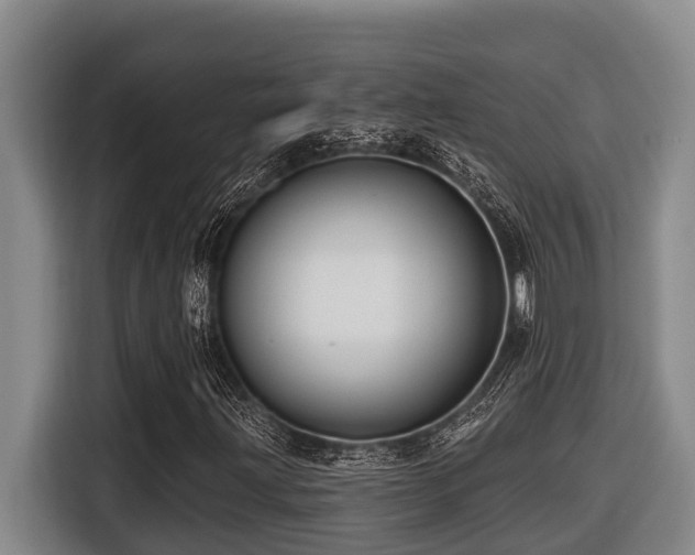 X0000116451203200912081611