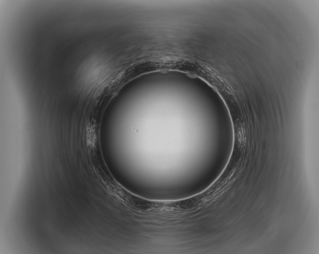 X0000116451204200912081611