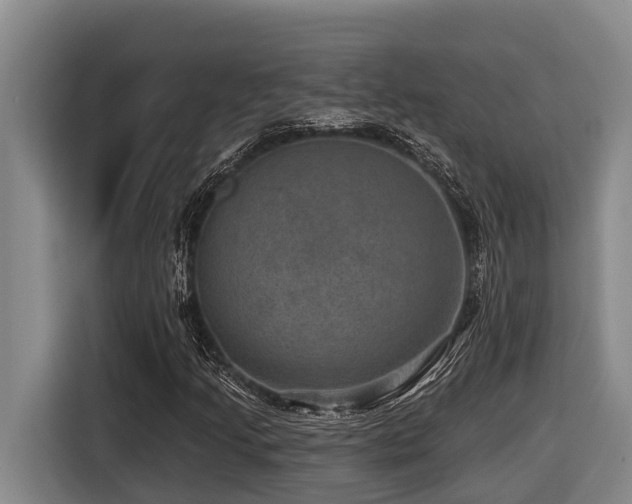 X0000116451205200912081611