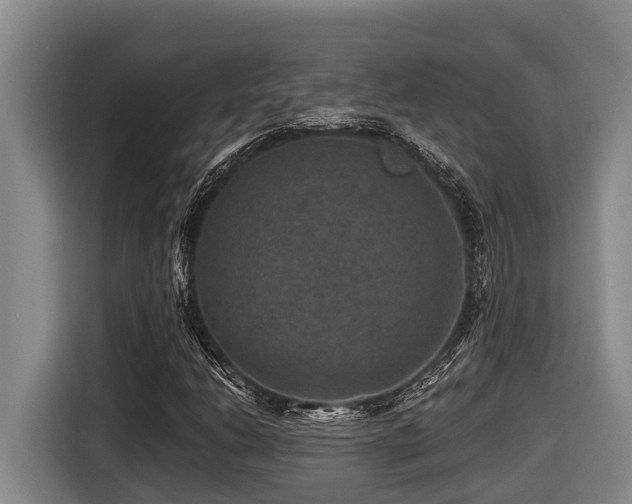 X0000116451206200912081611