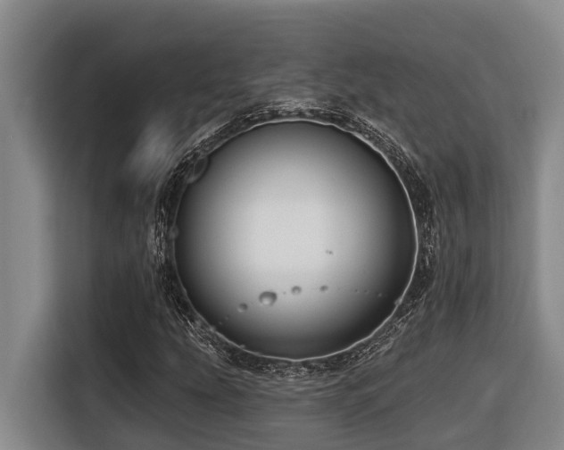 X0000116451207200912081611