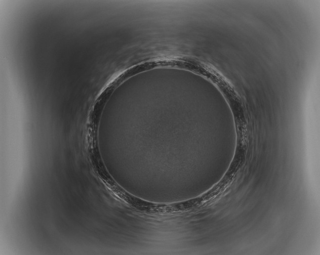 X0000116451208200912081611