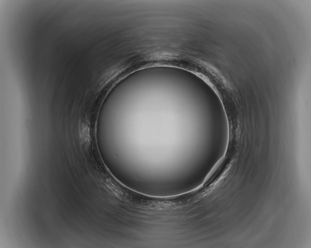 X0000116451209200912081611